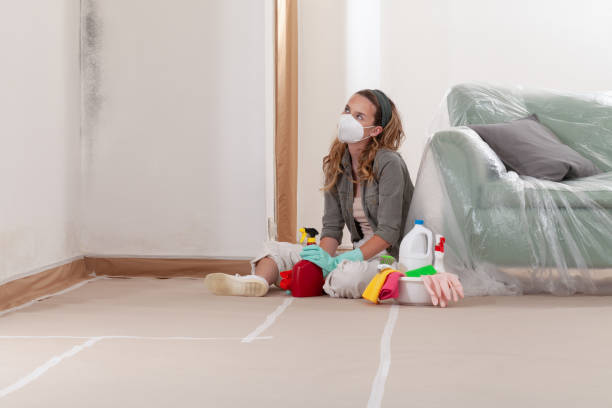 Reliable Mold Remediation contractor in Petersburg, VA by Mold Remediation HQ
